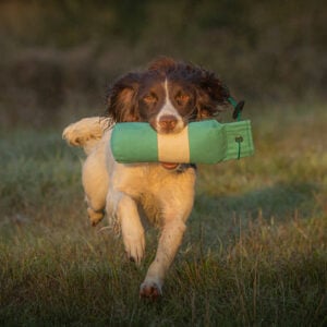 Target Dummy - 1lb - Image 2