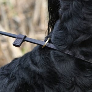 Leather Leads - Image 3