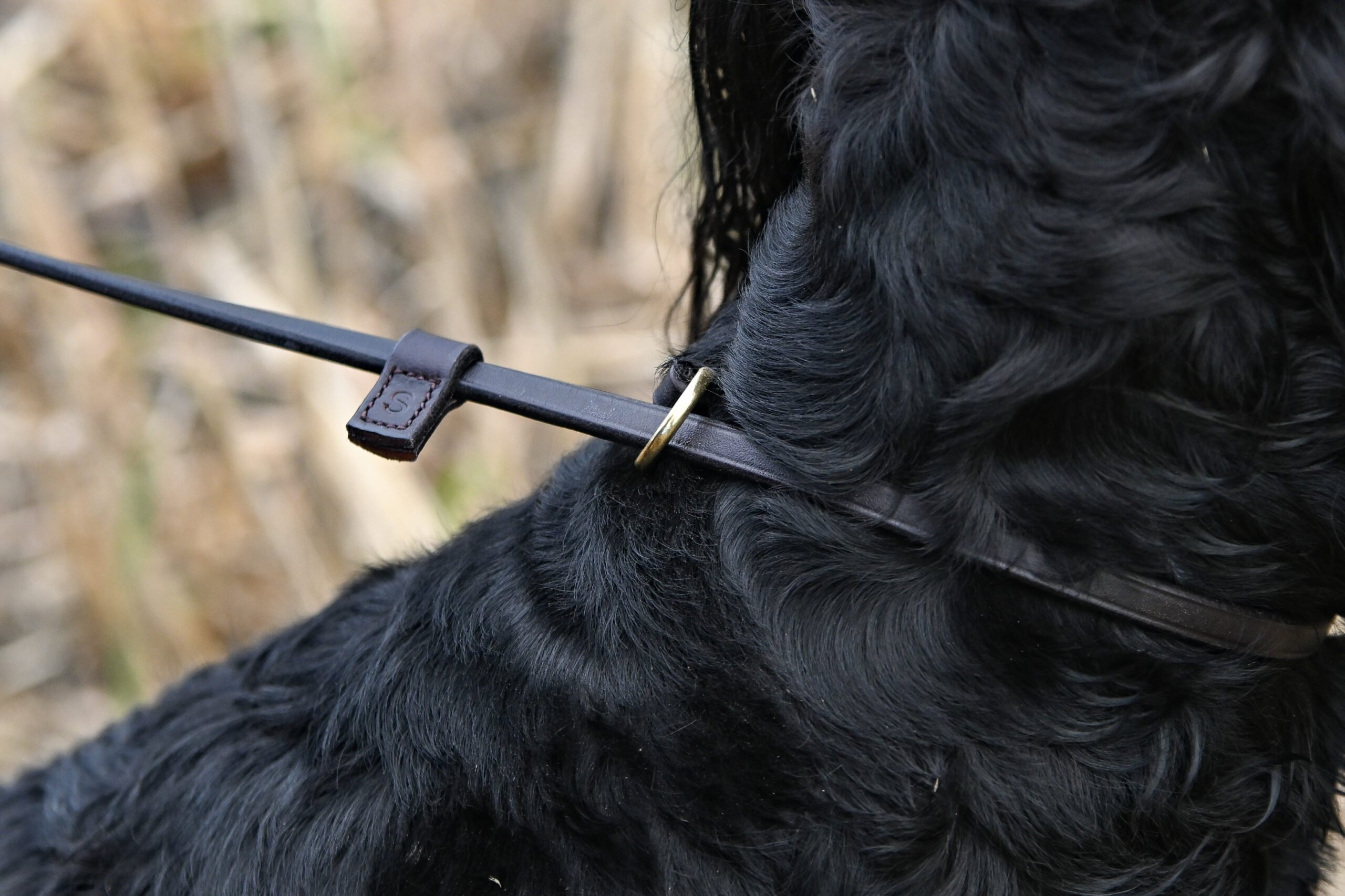 Leather Leads - Image 3