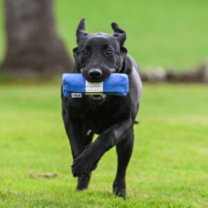 Endless Dummy - Blue & White 1/2lb - Image 3