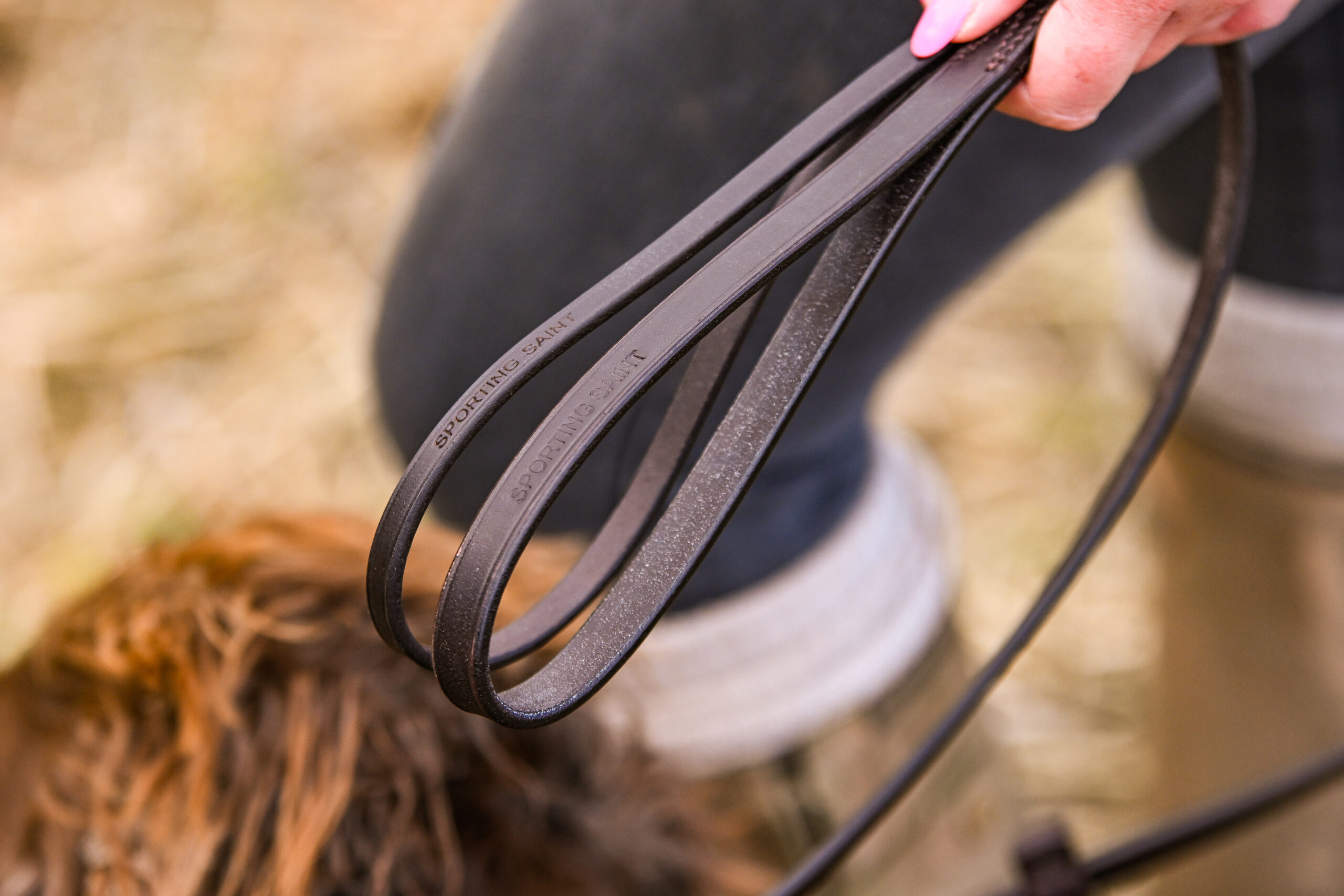 Leather Leads - Image 4