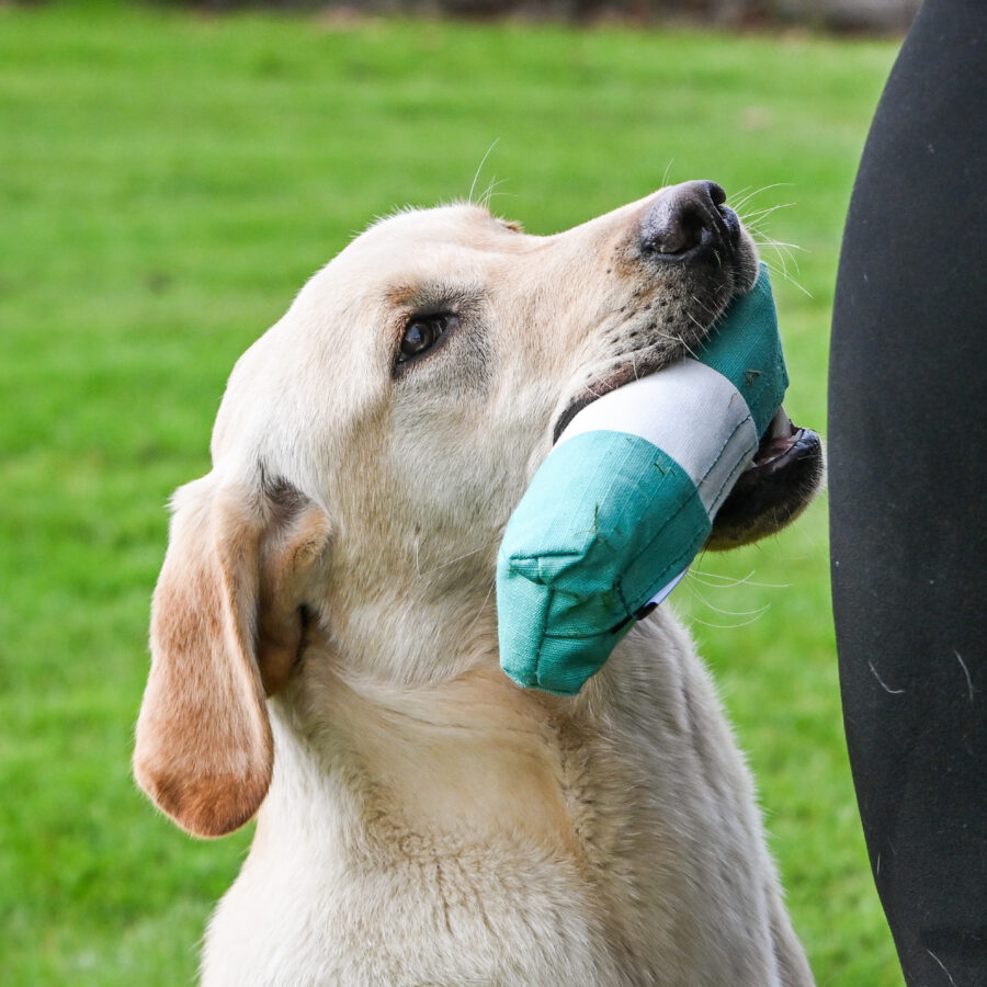 Endless Dummy - Green & White 1/2lb