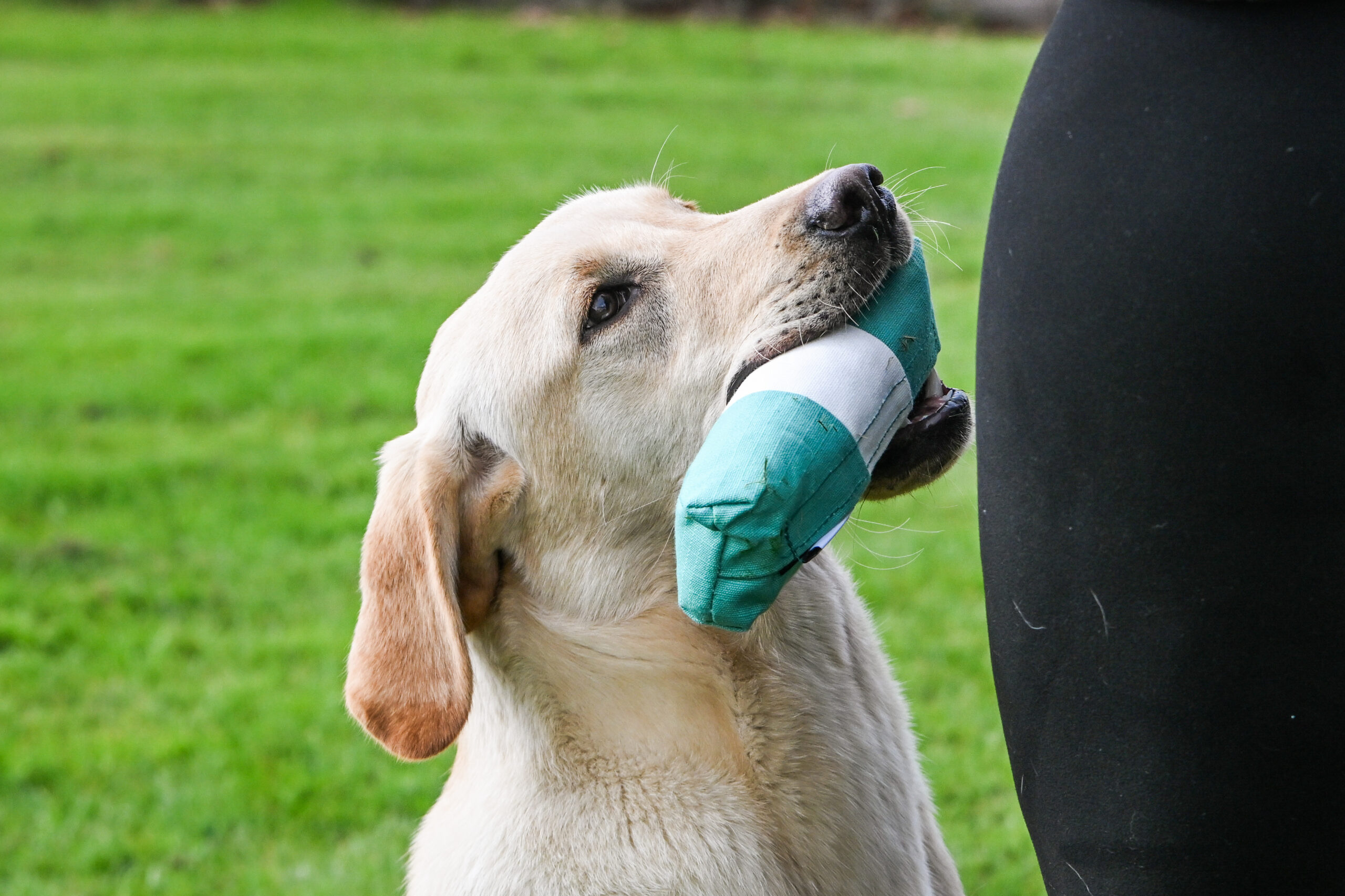 Endless Dummy - Green & White 1/2lb - Image 3