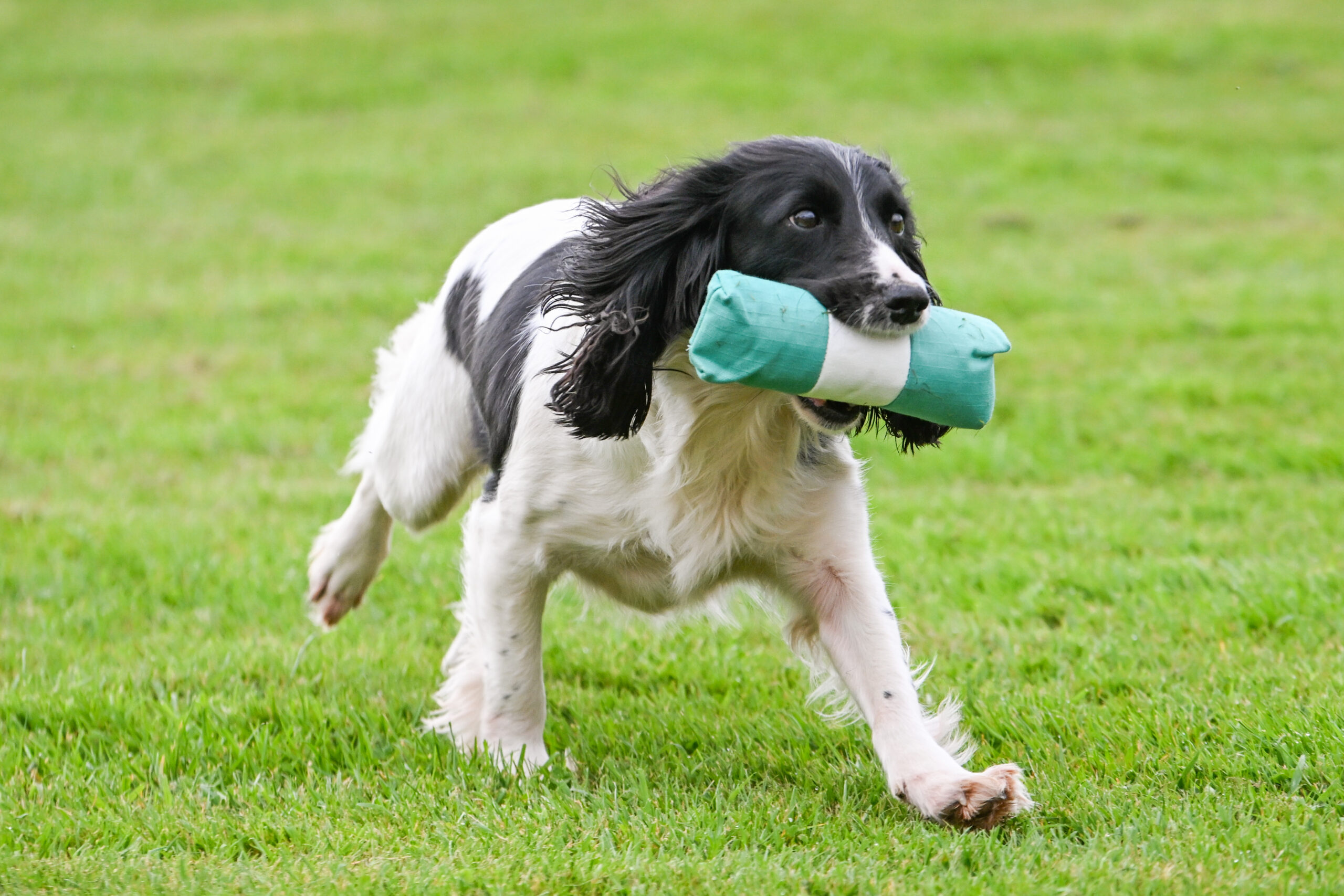 Endless Dummy - Green & White 1/2lb - Image 2