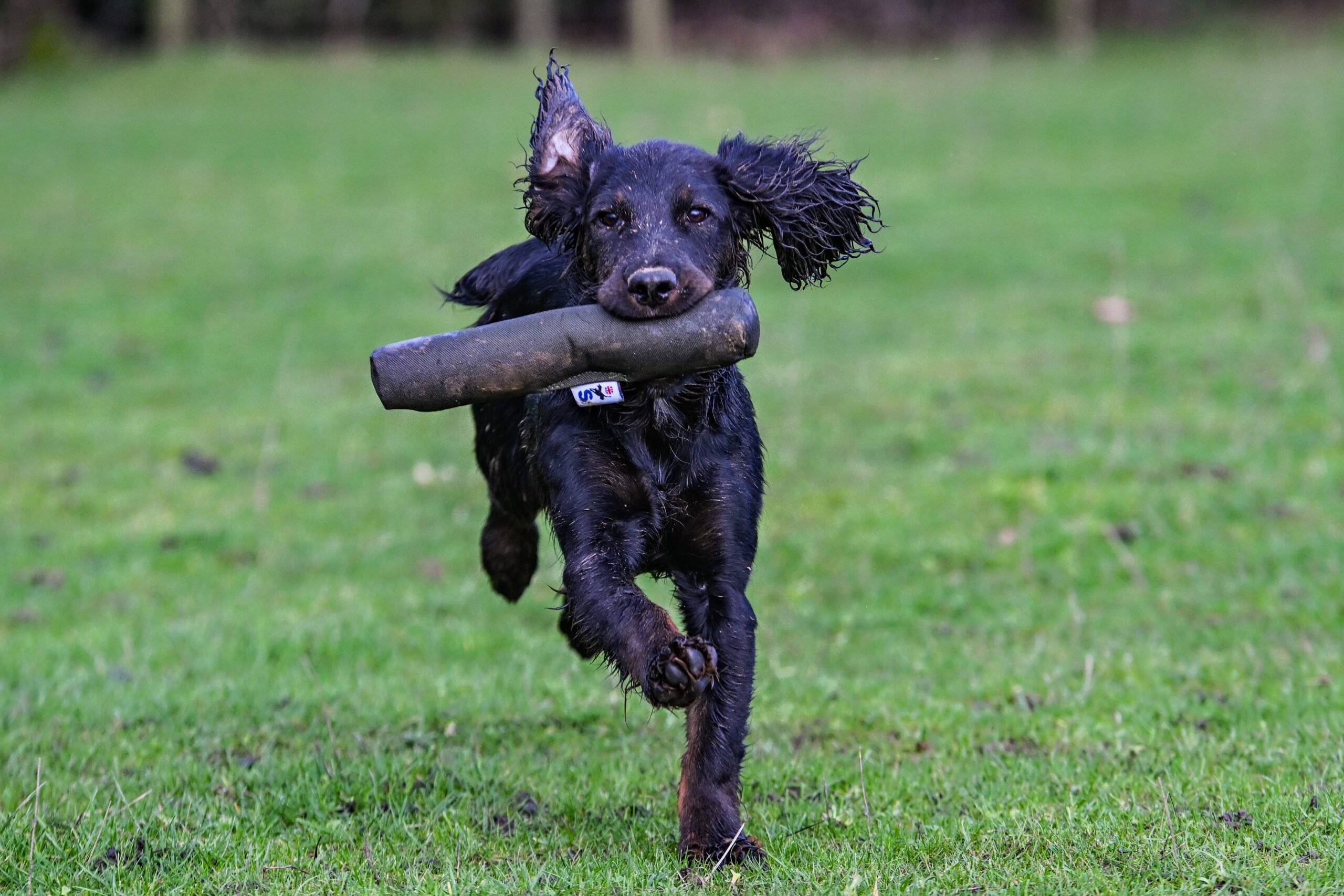 Roller Dummy - Image 2