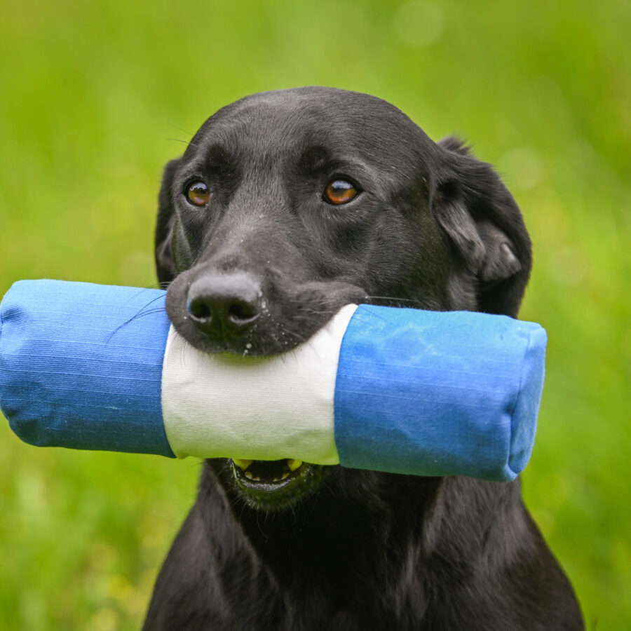 Endless Dummy - Target Canvas 1lb