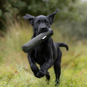 Roller Dummy - Image 3