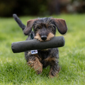 Roller Dummy - Image 4