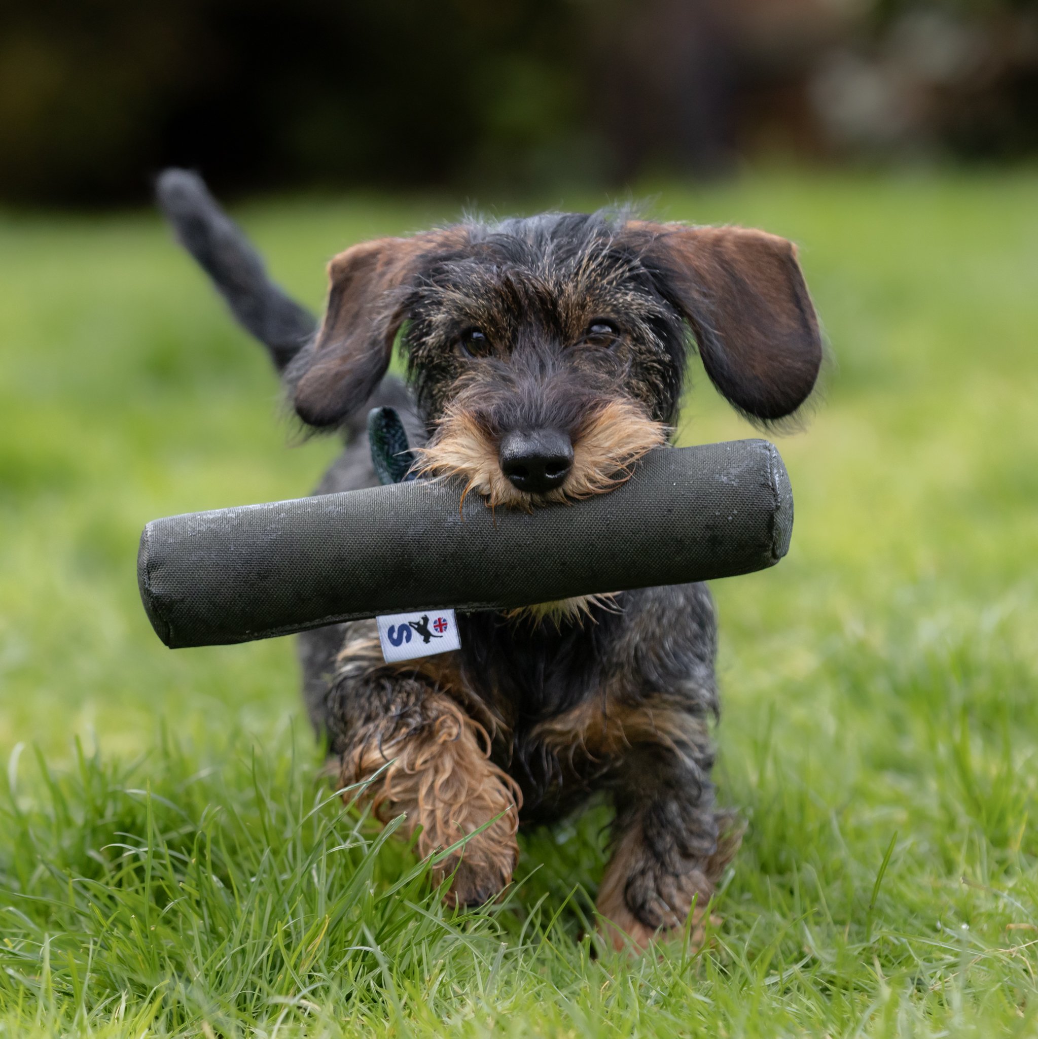 Roller Dummy - Image 4