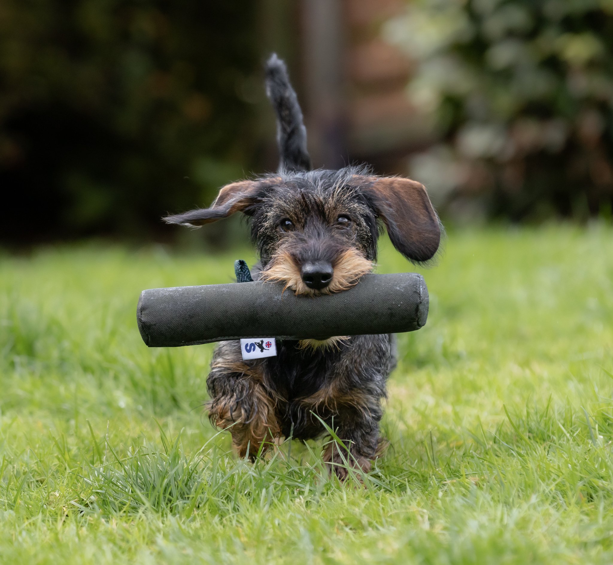 Roller Dummy - Image 1