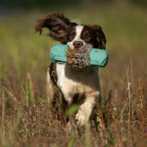 Endless Dummy - 1lb Rabbit - Image 2