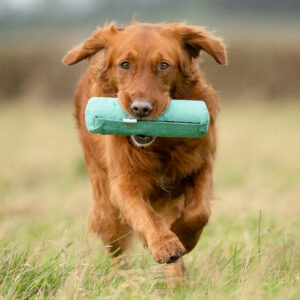 Endless Dummy - Green Canvas 1lb - Image 2