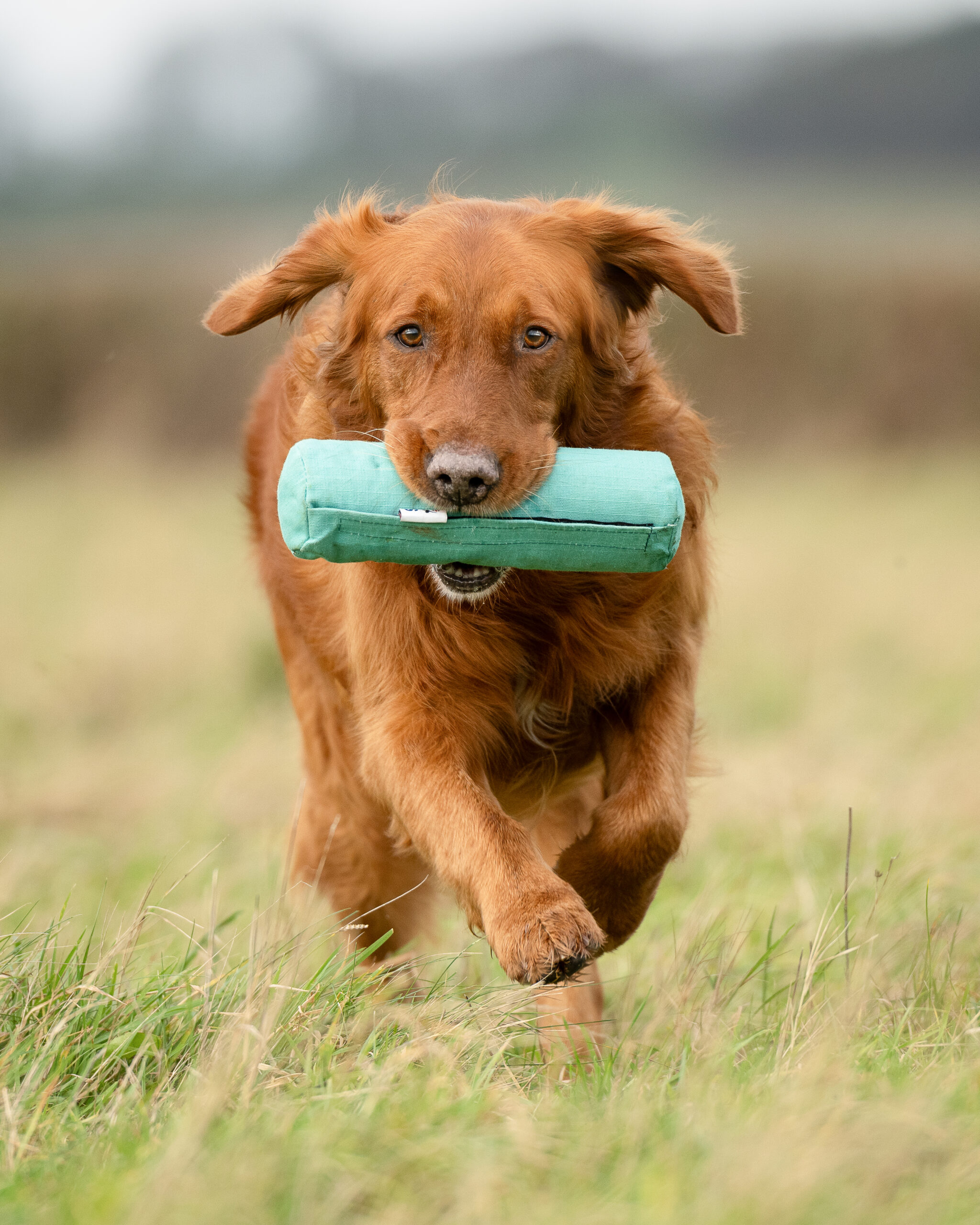 Endless Dummy - Green Canvas 1lb - Image 2