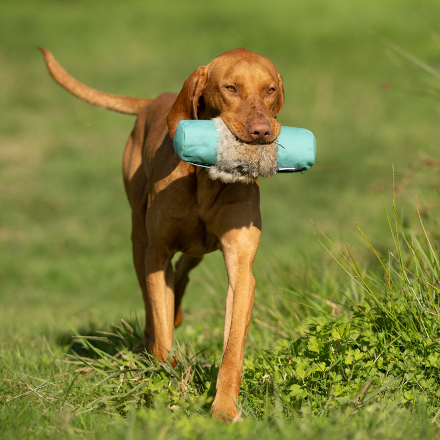 Endless Dummy - 1lb Rabbit