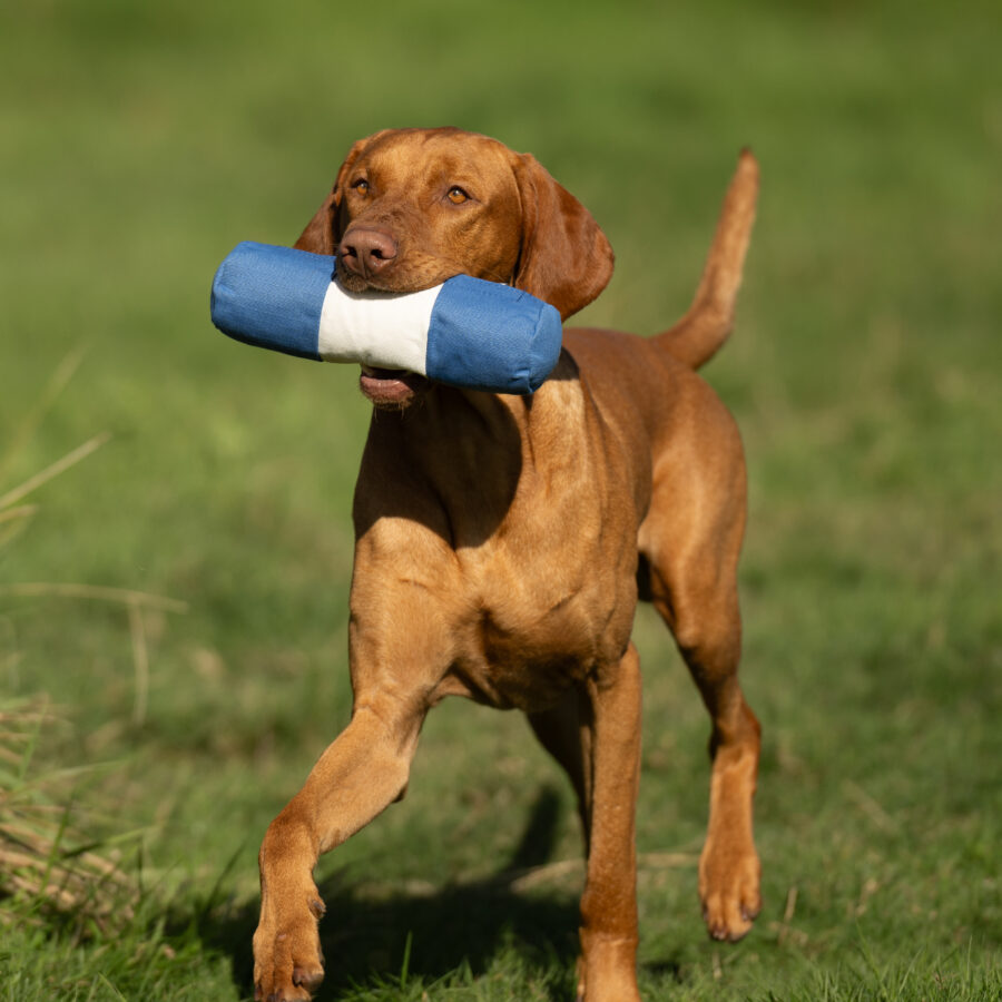 Endless Dummy - Target Canvas 1lb