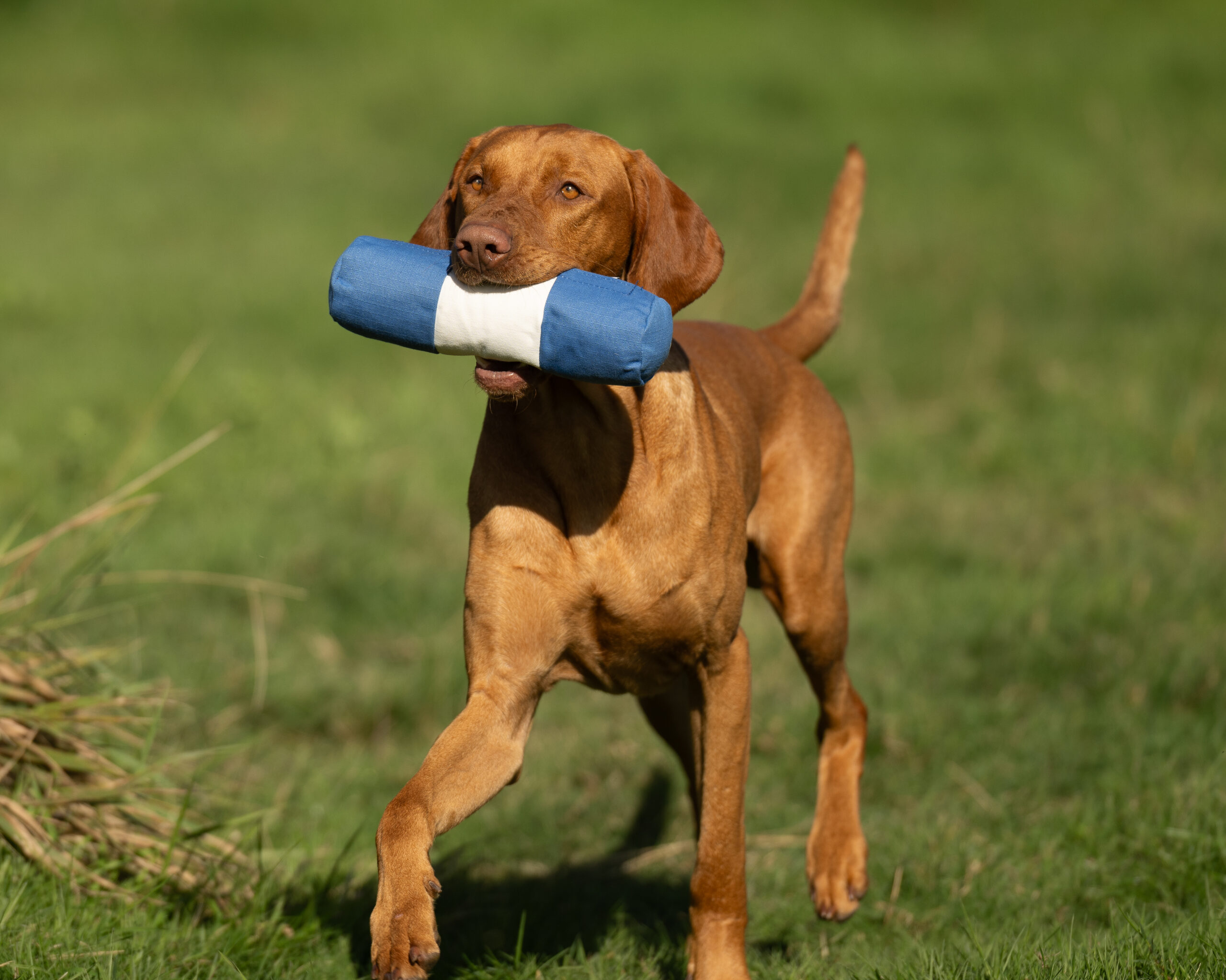 Endless Dummy - Target Canvas 1lb - Image 2