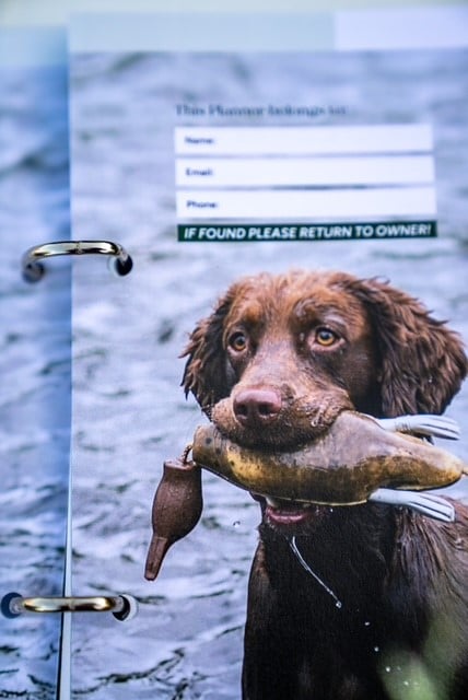 Working Dog Training Planner