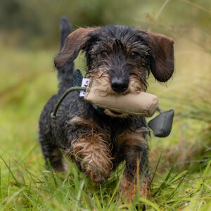 Bird Dummy - Small - Image 3