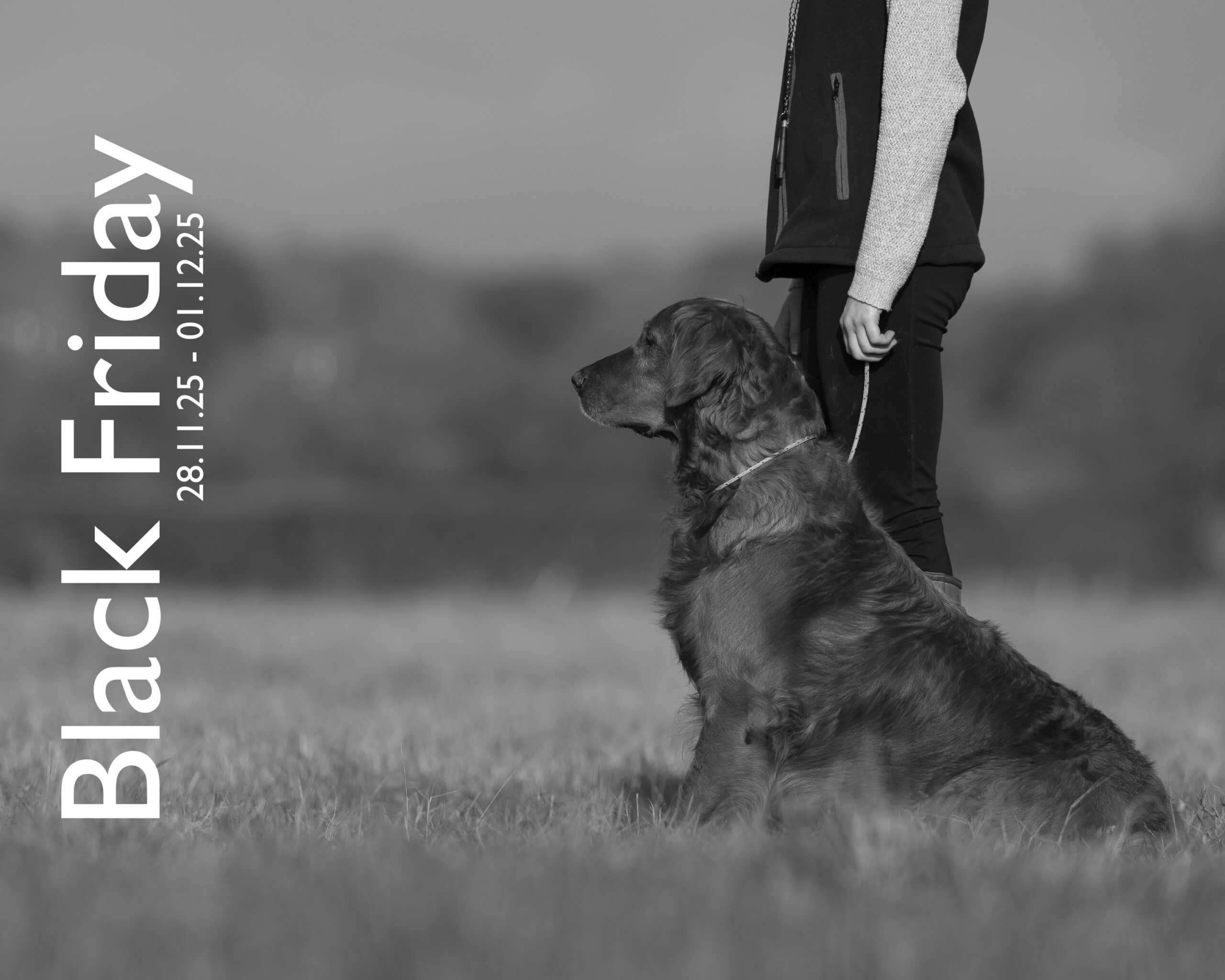 Black Friday! Thumbnail