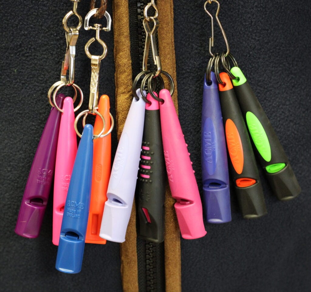 Lanyards of multicored ACME whistles.