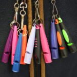 Lanyards of multicored ACME whistles.