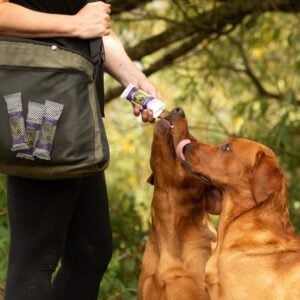 PureFlax Energy Bar - Image 2