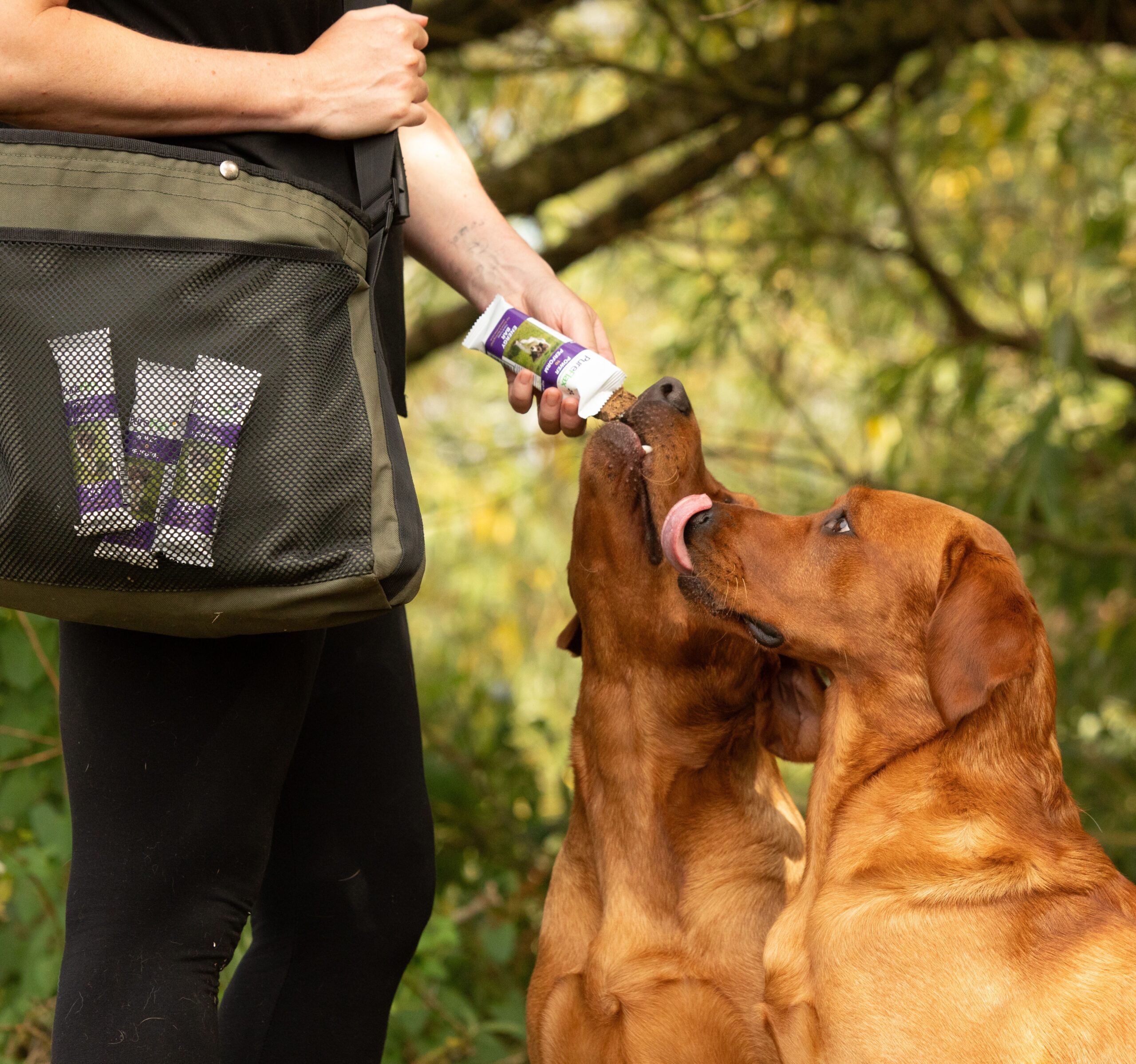 PureFlax Energy Bar - Image 2