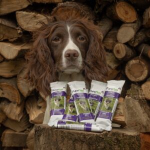 PureFlax Energy Bar - Image 4