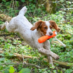 SMT GRIP-Tech Retrieving Dummy - COMING SOON - Image 4