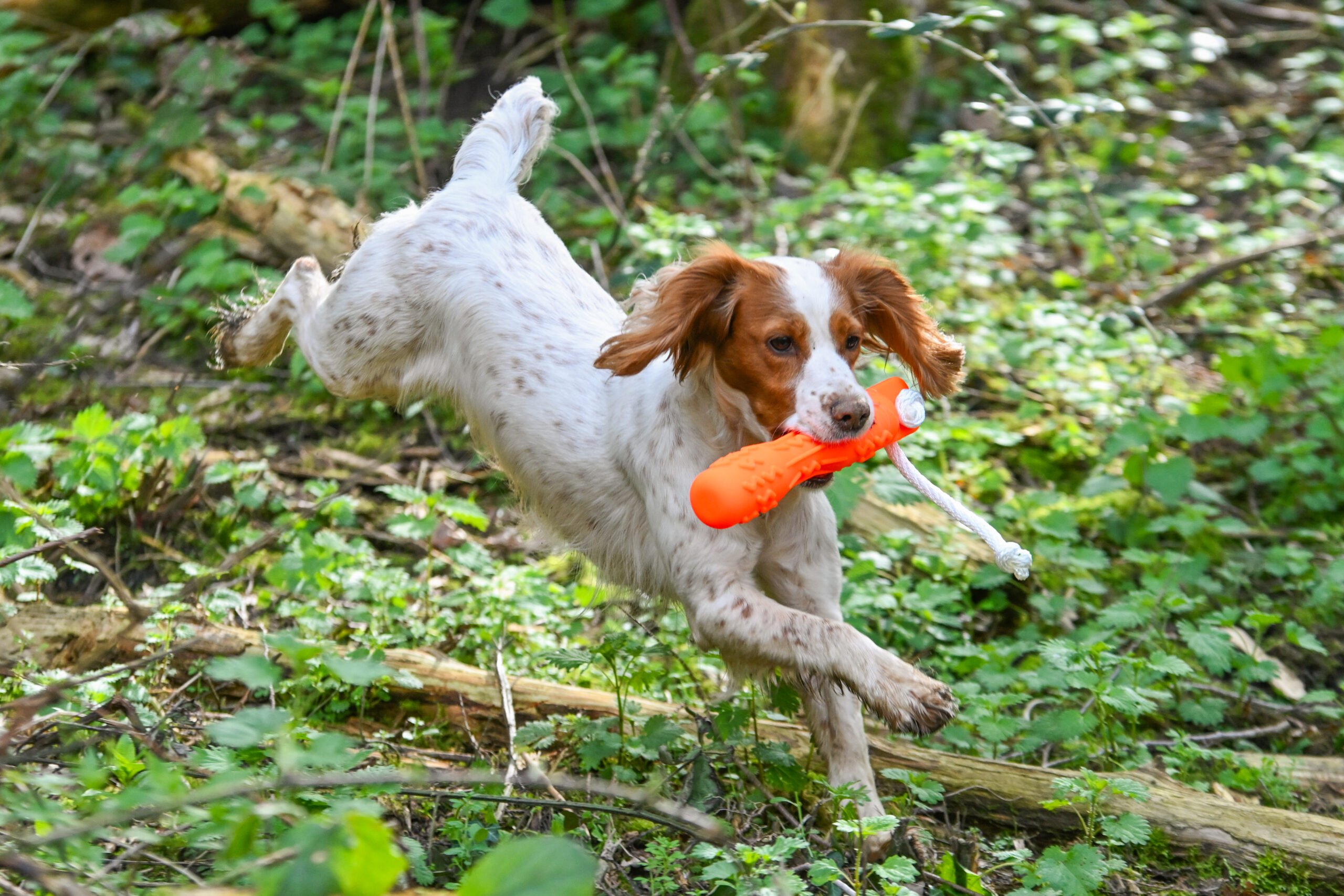 SMT GRIP-Tech Retrieving Dummy - COMING SOON - Image 4