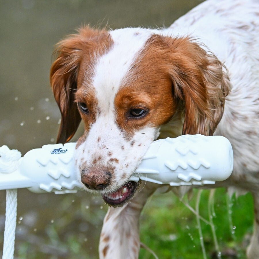 SMT GRIP-Tech Retrieving Dummy - COMING SOON