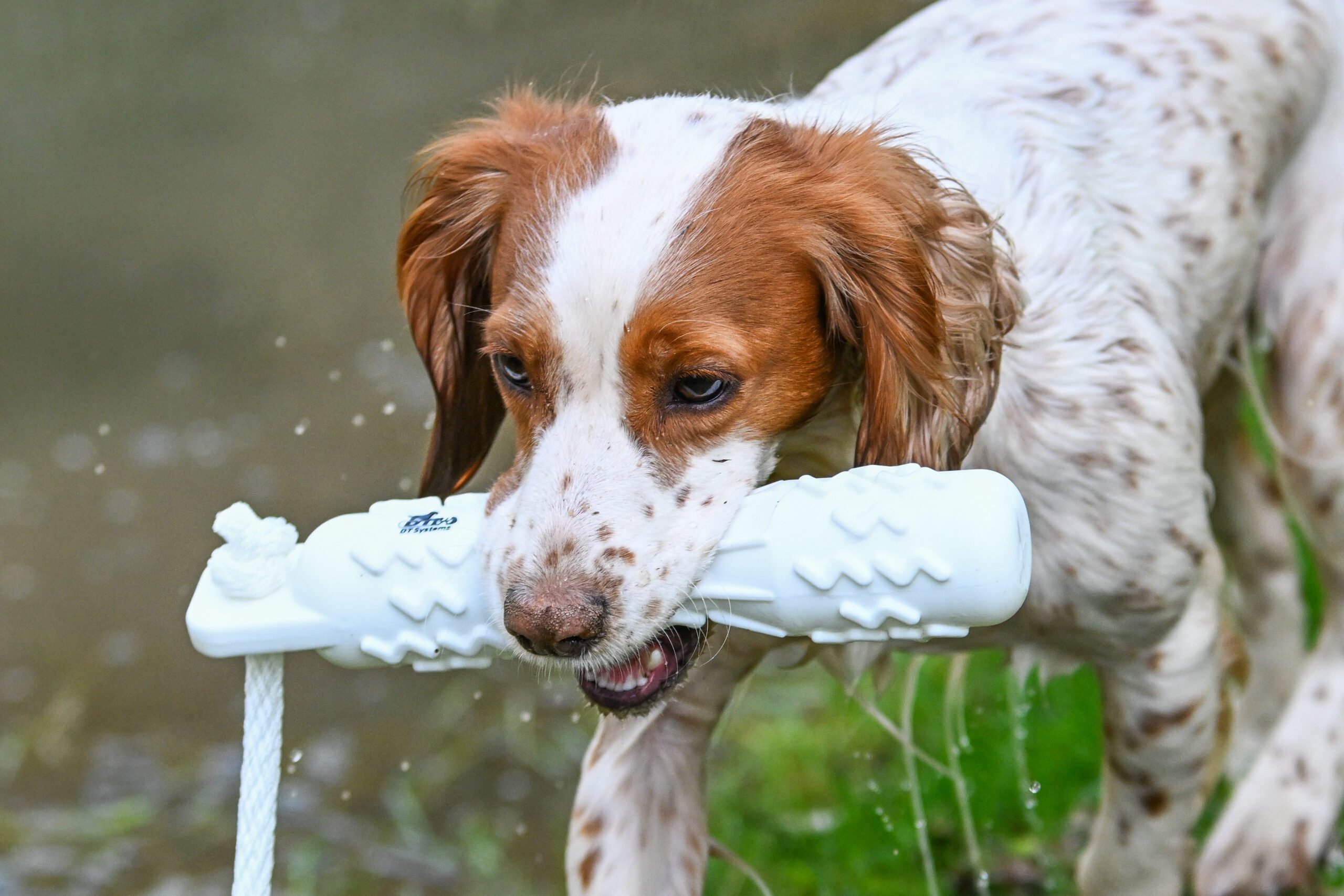 SMT GRIP-Tech Retrieving Dummy - COMING SOON - Image 5