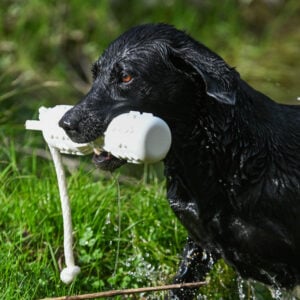 SMT GRIP-Tech Retrieving Dummy - COMING SOON - Image 3