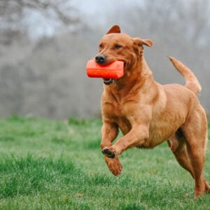 Super Pro LOW Recoil Launcher Dummy - Image 2