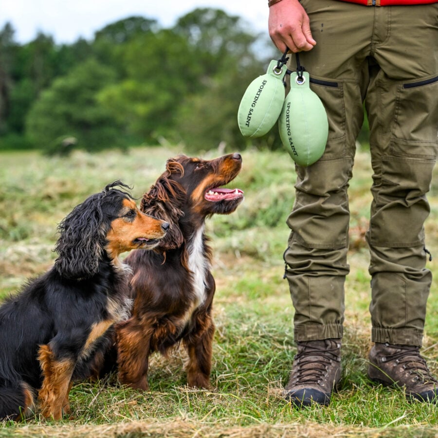 Retrieve Dummy