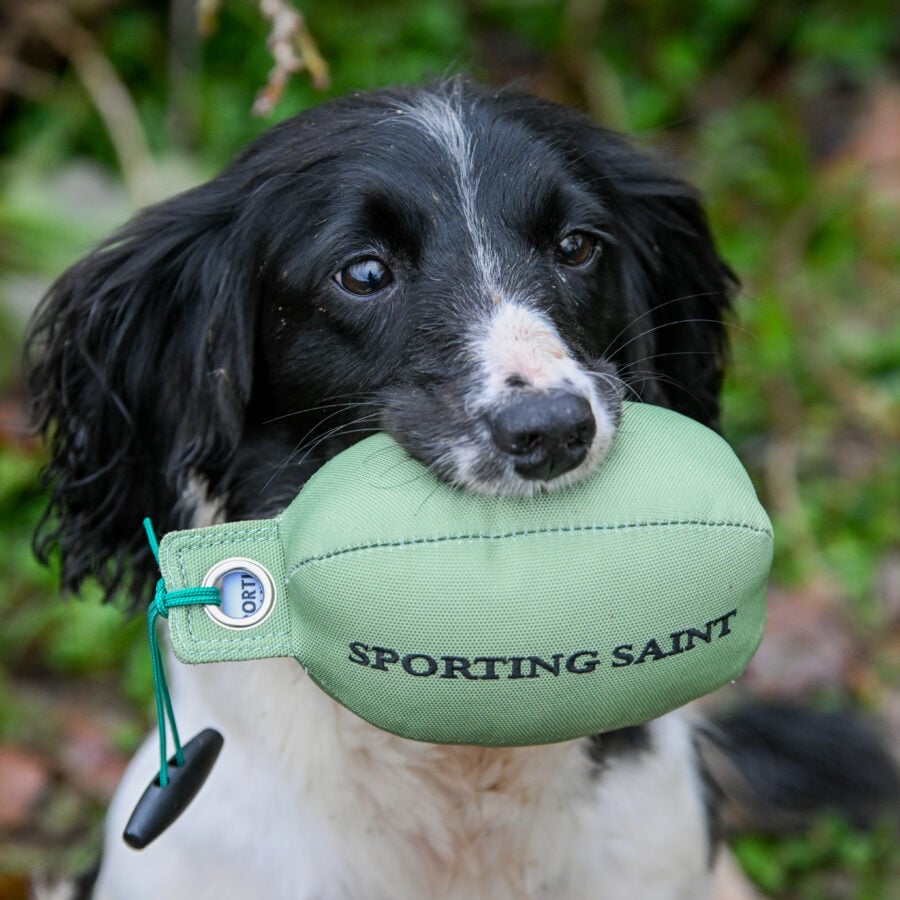 Retrieve Dummy