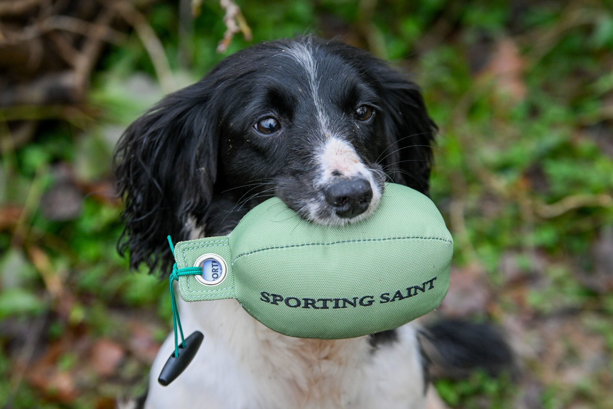 Retrieve Dummy - Image 3