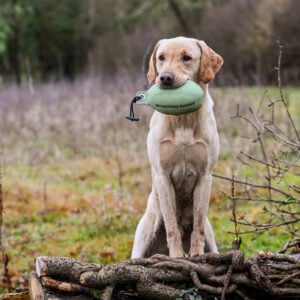 Retrieve Dummy - Image 2