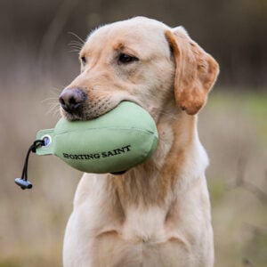 Retrieve Dummy - Image 4
