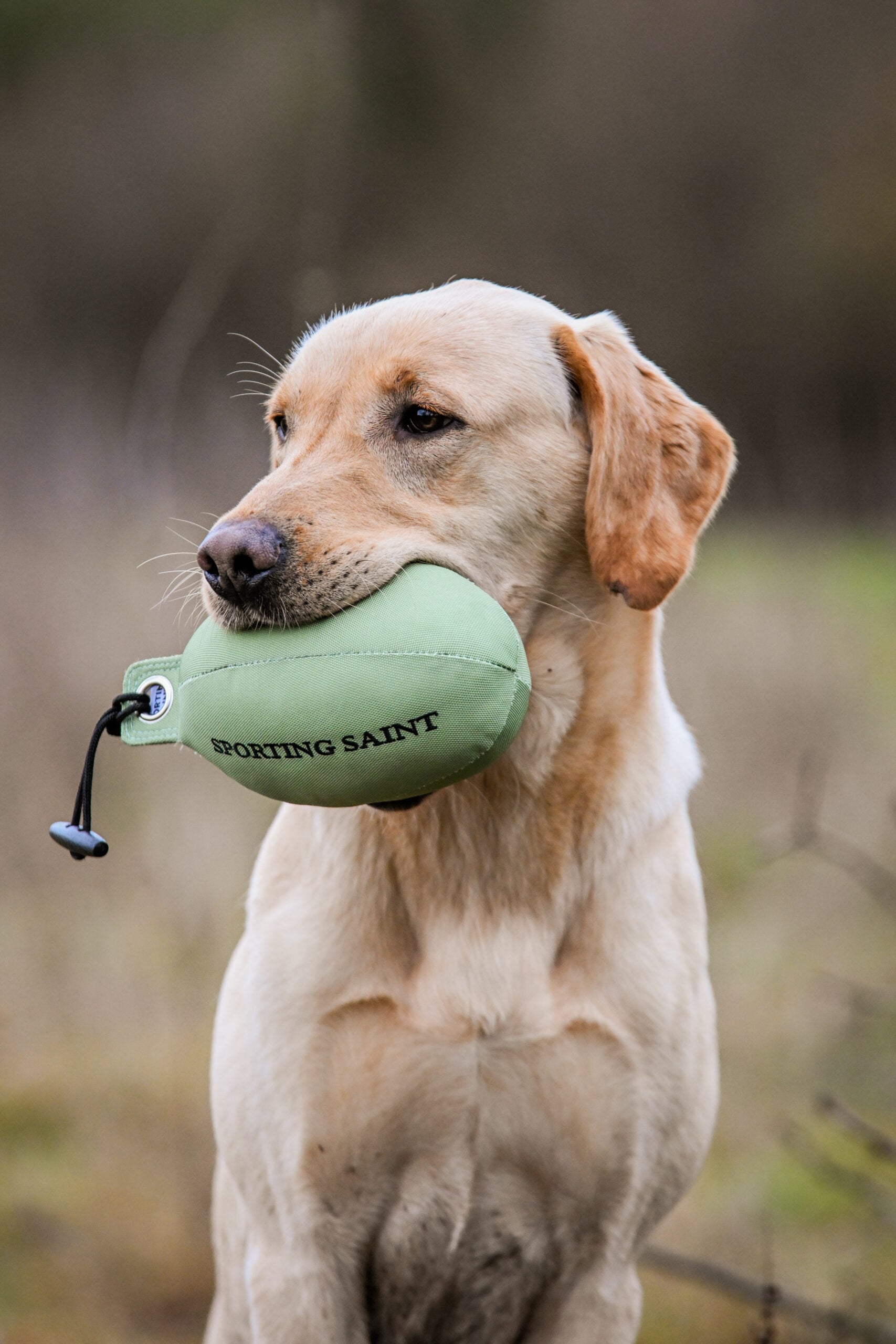 Retrieve Dummy - Image 4