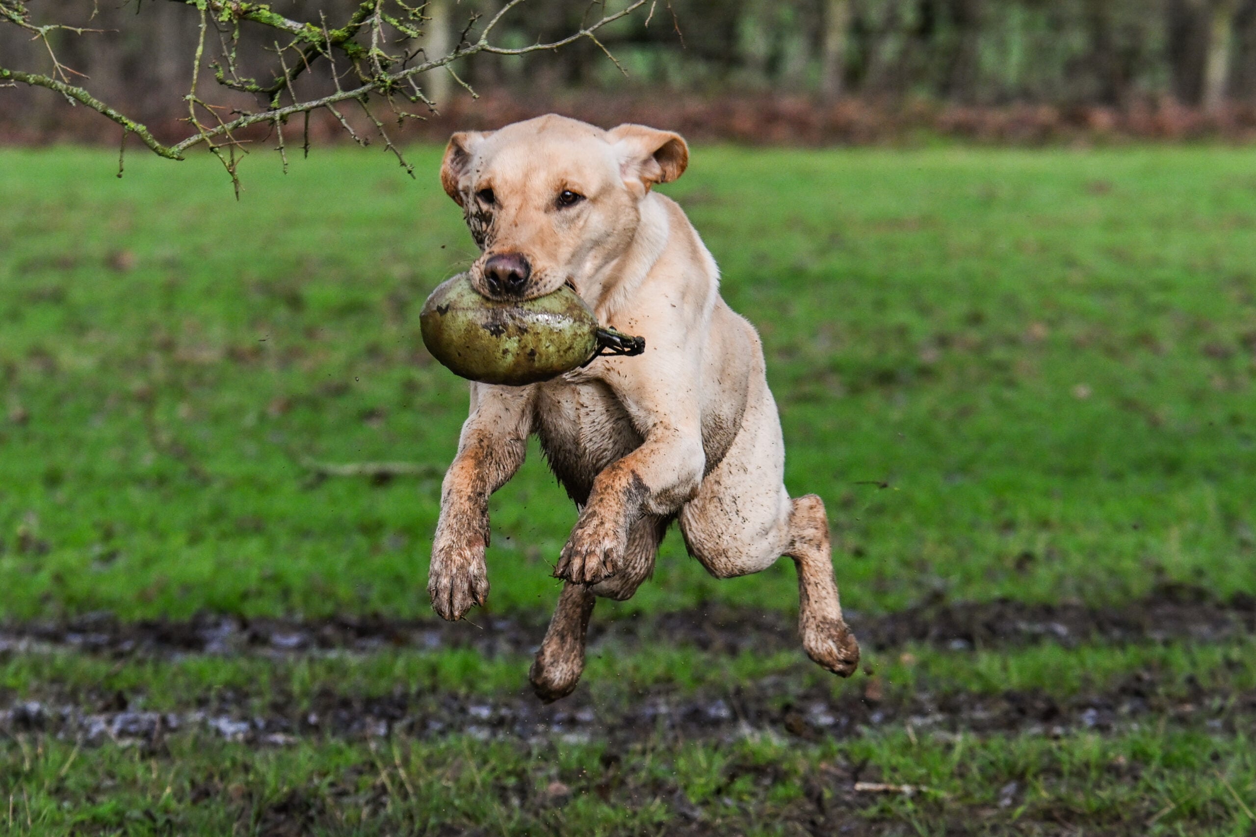 Retrieve Dummy - Image 6
