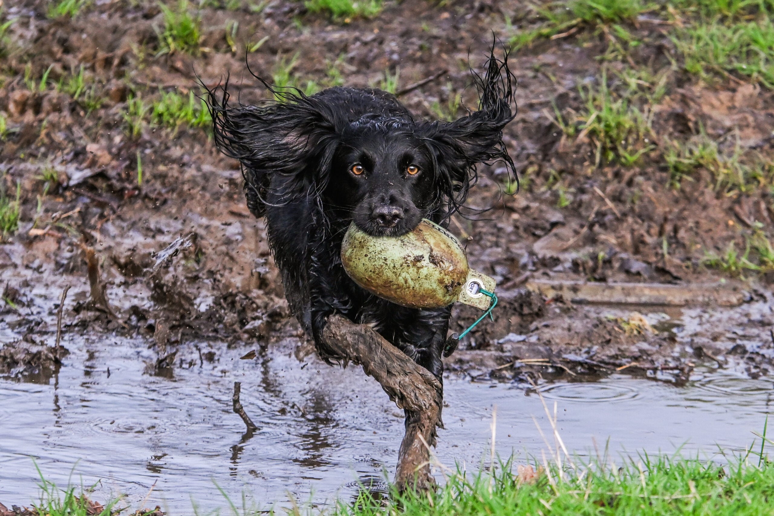 Retrieve Dummy - Image 5