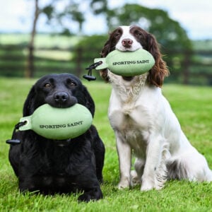Retrieve Dummy - Image 2