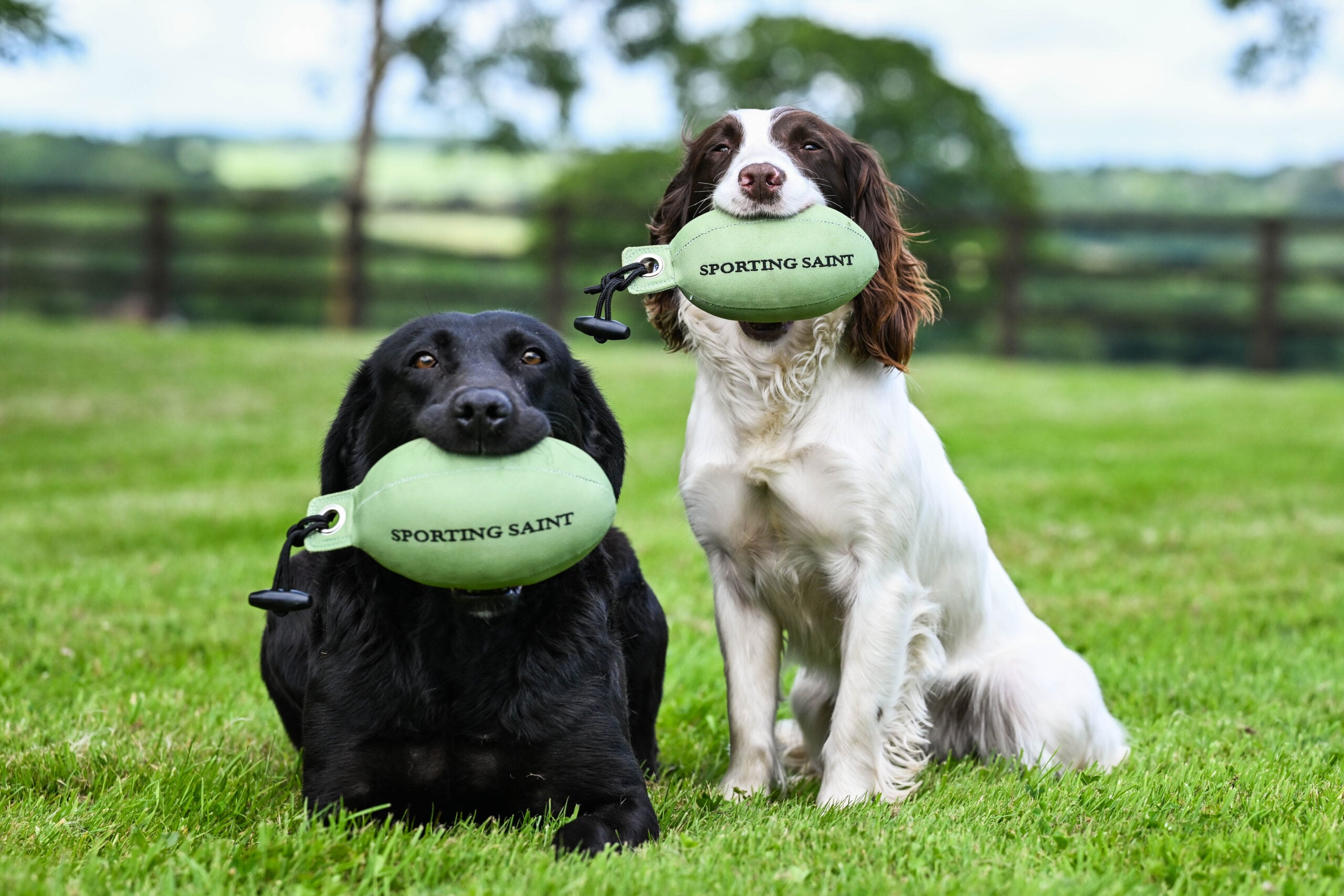 Retrieve Dummy - Image 2