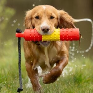 BG True Hold - 2" Water Dummy
