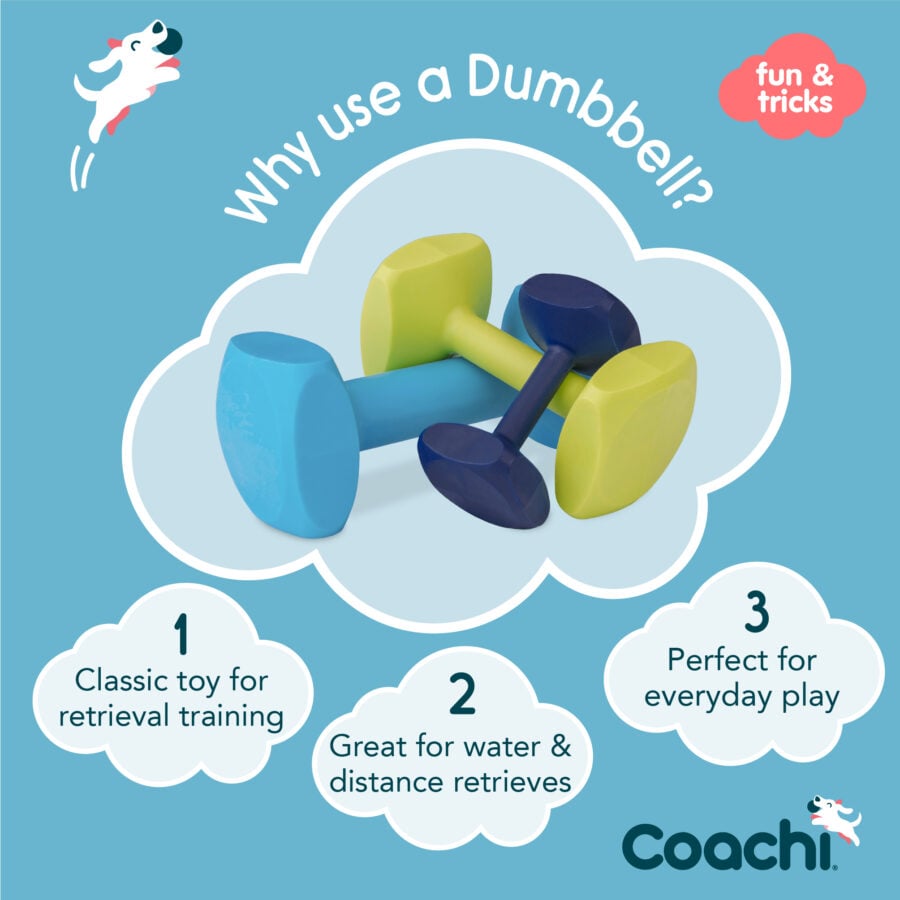 Coachi Training Dumbbell