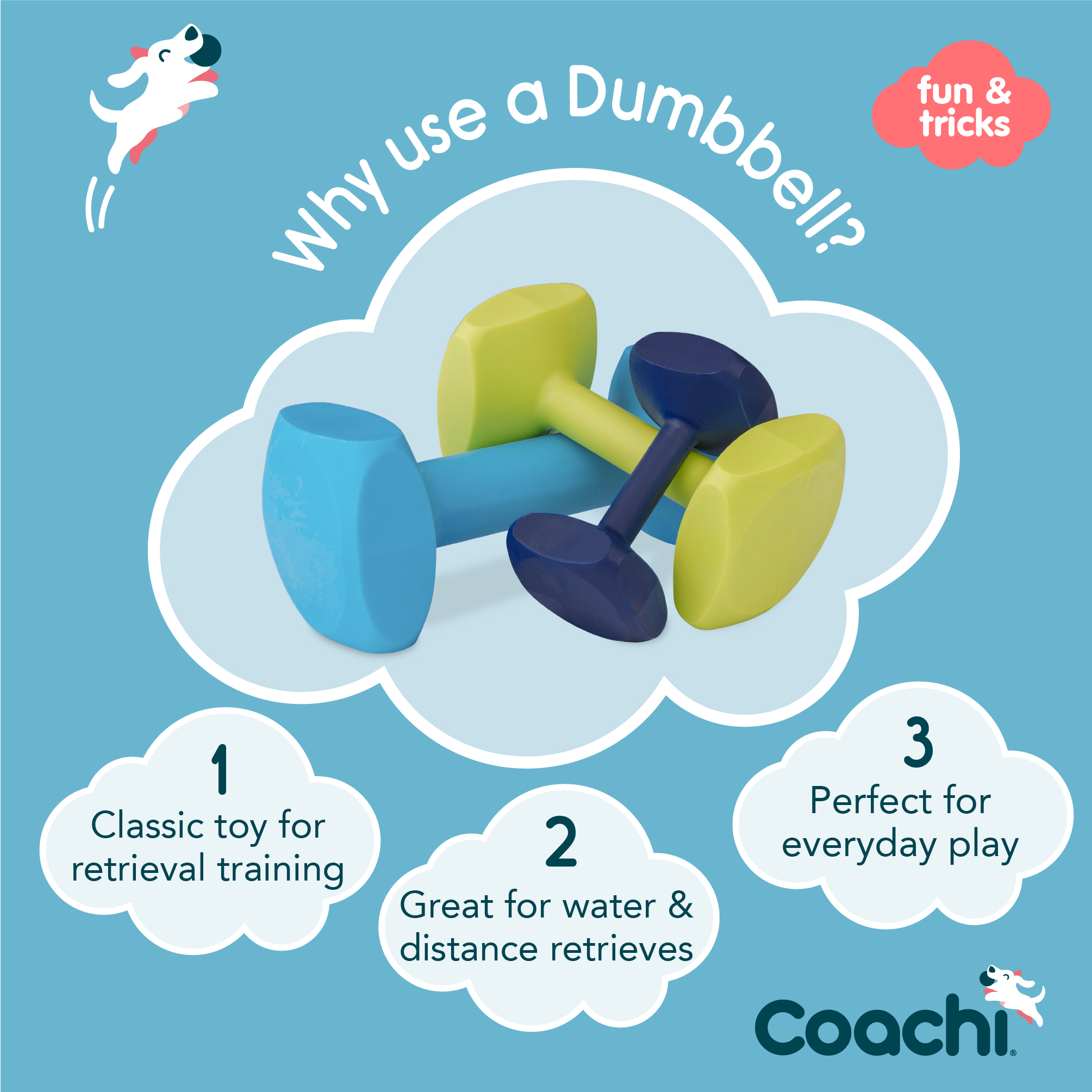 Coachi Training Dumbbell - Image 2