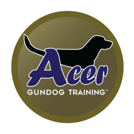 Acer Gundog Training Ltd