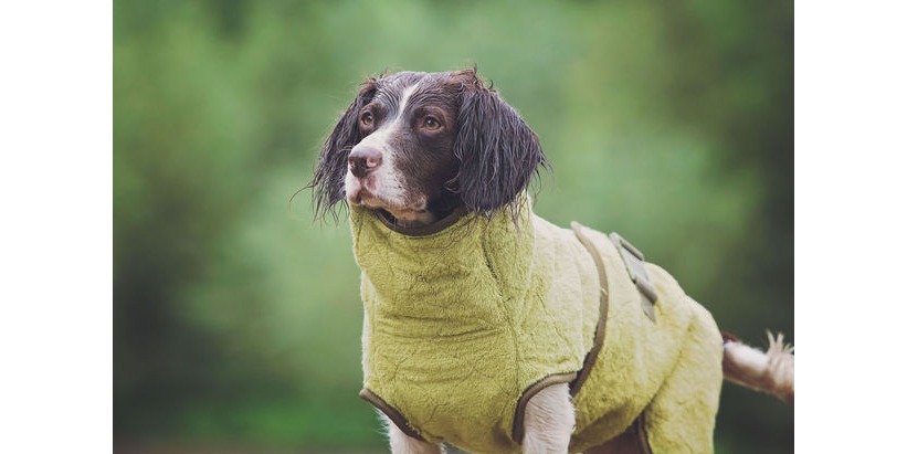 New Products Launched - Siccaro  - World's Best Dog Drying Coat, Mats & Mitts