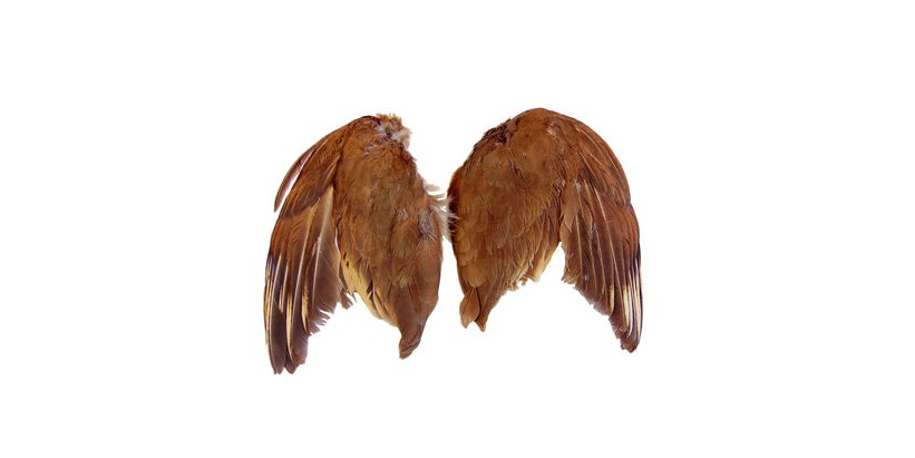 The Game Fair 2018 - Ragley Hall: New!Game Bird Wings